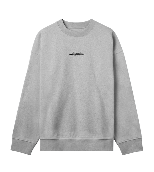 Cool SWEATSHIRT grey